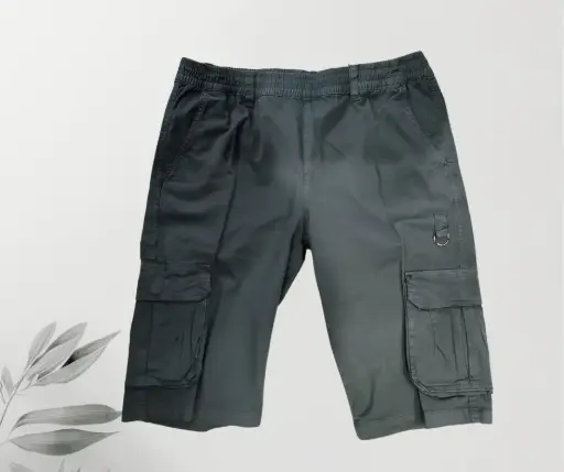 [MOD290620269] Bermuda Roosevelt XL Gris